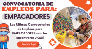 NUEVAS OPORTUNIDADES DE TRABAJO
