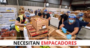 145 VACANTES DE TRABAJO COMO EMPACADOR