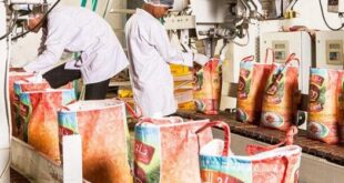 SE REQUIERE 25 PERSONAS PARA EMPACAR DIVERSOS PRODUCTOS|